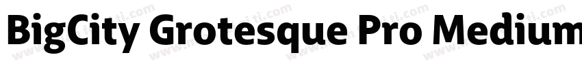 BigCity Grotesque Pro Medium字体转换